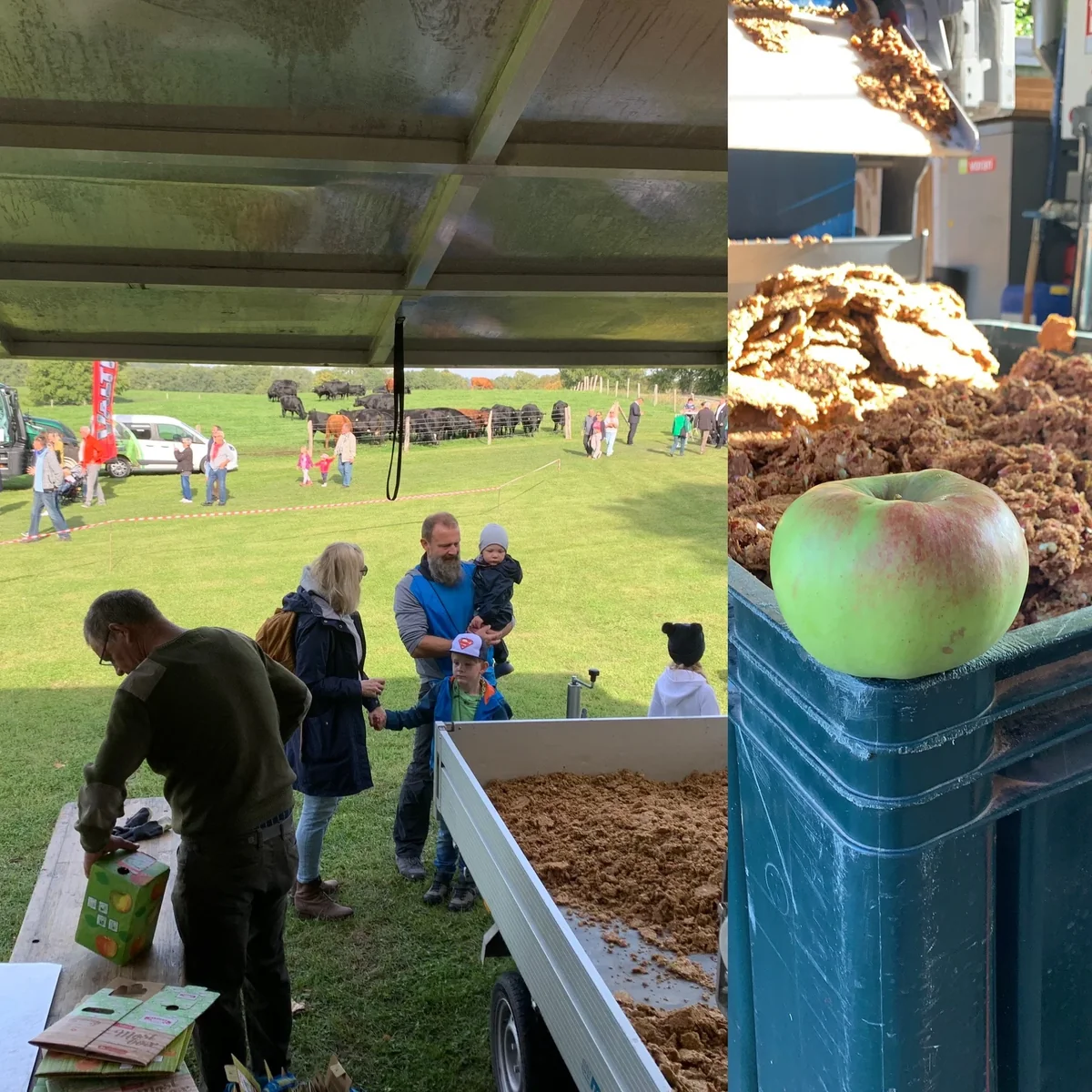 Besucher an der mobilen Presse auf der Biolandpartie, daneben ein Apfel auf frischem Trester