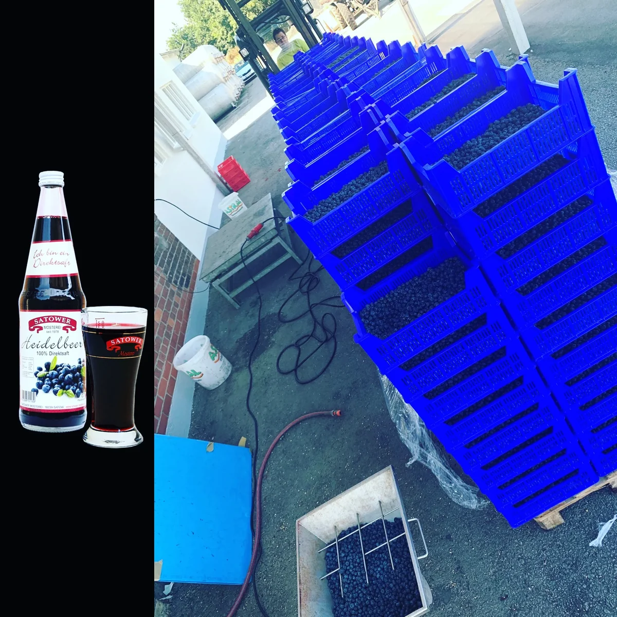 Blaue Kisten voller Heidelbeeren neben einer Flasche Heidelbeersaft