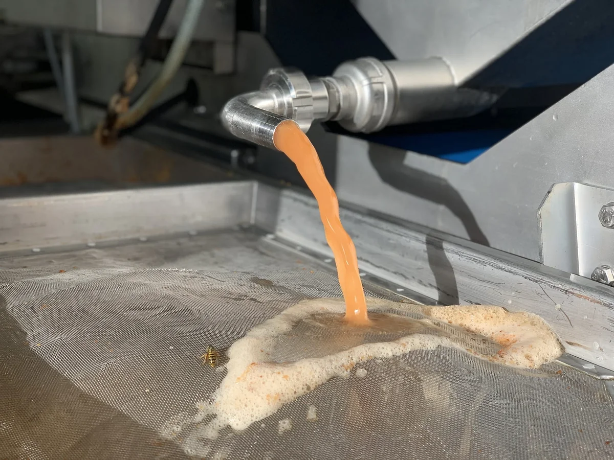 Frisch gepresster Apfelsaft läuft aus der Presse