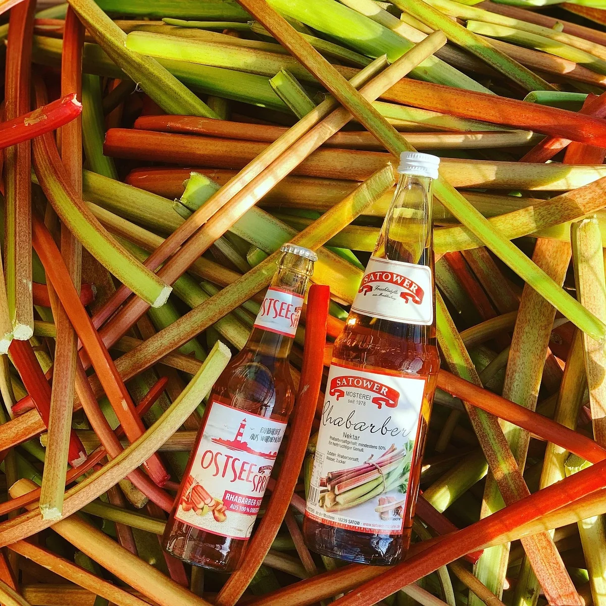 Flaschen Rhabarbersaft und Ostseespritz auf frisch geerntetem Rhabarber