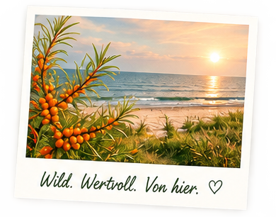 Sanddornzweig vor Ostseestrand bei Sonnenuntergang